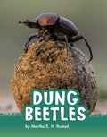 Dung Beetles - MPHOnline.com