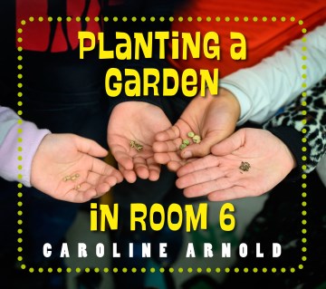 Planting a Garden in Room 6 - MPHOnline.com