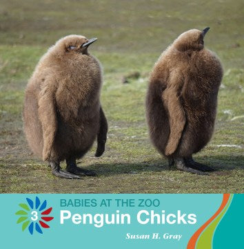 Penguin Chicks - MPHOnline.com