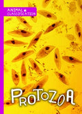 Protozoa - MPHOnline.com