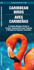 Caribbean Birds / Aves Caribenas - MPHOnline.com