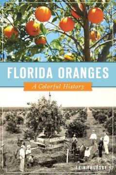 Florida Oranges - MPHOnline.com