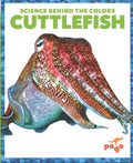 Cuttlefish - MPHOnline.com