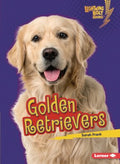 Golden Retrievers - MPHOnline.com