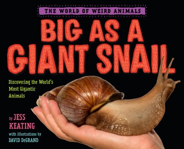 Big As a Giant Snail - MPHOnline.com