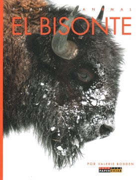 El bisonte - MPHOnline.com