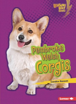 Pembroke Welsh Corgis - MPHOnline.com