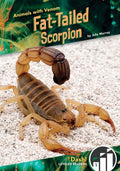 Fat-Tailed Scorpion - MPHOnline.com