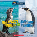 Galapagos Penguin or Emperor Penguin - MPHOnline.com