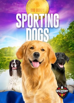 Sporting Dogs - MPHOnline.com