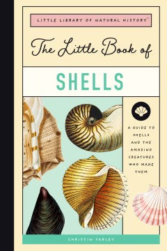 The Little Book of Shells - MPHOnline.com