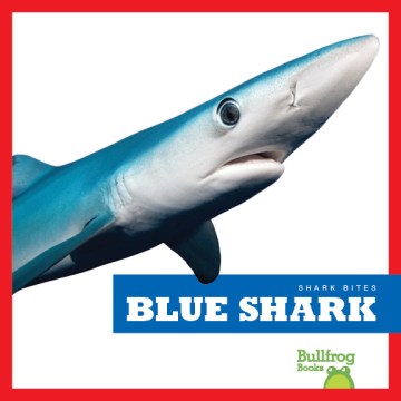 Blue Shark - MPHOnline.com