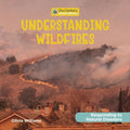 Understanding Wildfires - MPHOnline.com