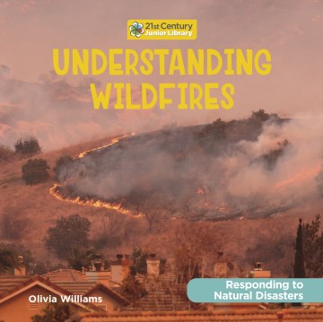 Understanding Wildfires - MPHOnline.com