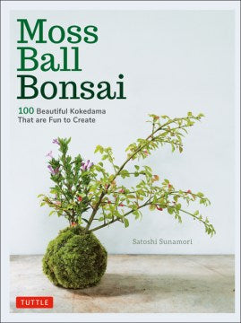 Moss Ball Bonsai - MPHOnline.com