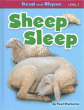 Sheep Sleep - MPHOnline.com