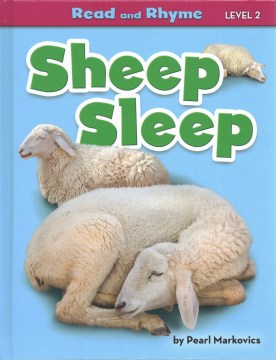 Sheep Sleep - MPHOnline.com