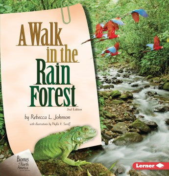 A Walk in the Rain Forest - MPHOnline.com