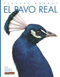 El pavo real / Peacocks - MPHOnline.com