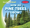 How Do Pine Trees Grow? - MPHOnline.com