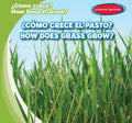 Como crece el pasto? / How Does Grass Grow? - MPHOnline.com