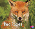 Red Foxes - MPHOnline.com