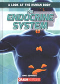 The Endocrine System - MPHOnline.com