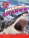 Amazing Sharks - MPHOnline.com