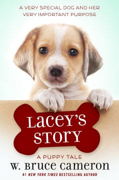 Lacey's Story - MPHOnline.com