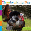 Thanksgiving Day - MPHOnline.com