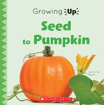 Seed to Pumpkin - MPHOnline.com