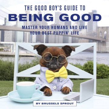 The Good Boy's Guide to Being Good - MPHOnline.com