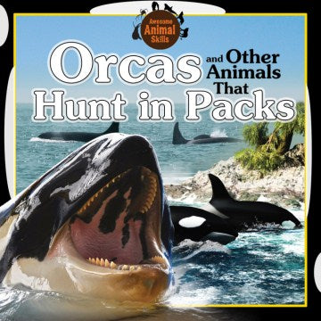 Orcas and Other Animals That Hunt in Packs - MPHOnline.com