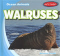 Walruses - MPHOnline.com