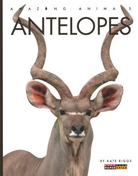 Antelopes - MPHOnline.com