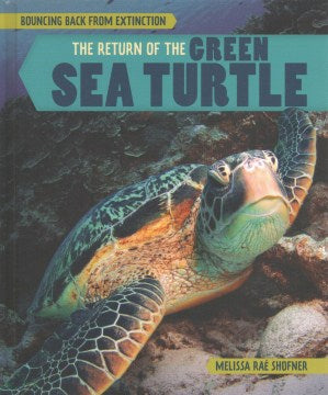 The Return of the Green Sea Turtle - MPHOnline.com