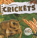 Crickets - MPHOnline.com