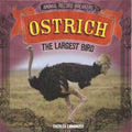 Ostrich - MPHOnline.com