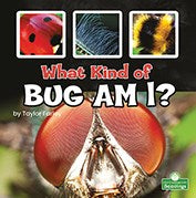 What Kind of Bug Am I? - MPHOnline.com