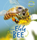 From Egg to Bee - MPHOnline.com