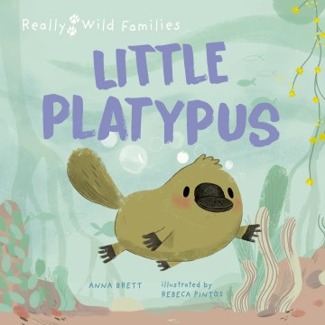 Little Platypus - MPHOnline.com