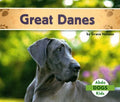 Great Danes - MPHOnline.com