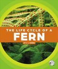 The Life Cycle of a Fern - MPHOnline.com