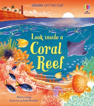 Usborne Lift The Flap: Look Inside A Coral Reef - MPHOnline.com