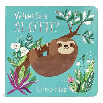 What Is a Sloth? - MPHOnline.com