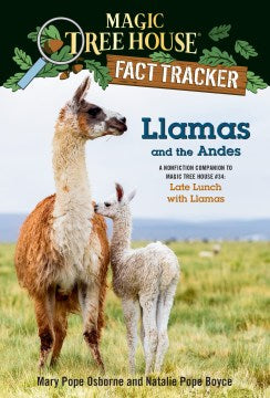 Llamas and the Andes - MPHOnline.com