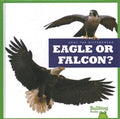 Eagle or Falcon? - MPHOnline.com