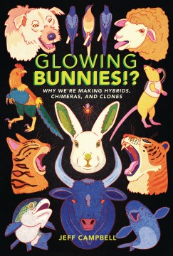 Glowing Bunnies!? - MPHOnline.com