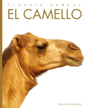 El camello - MPHOnline.com