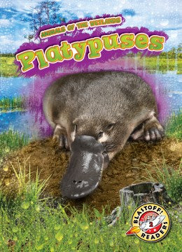 Platypuses - MPHOnline.com